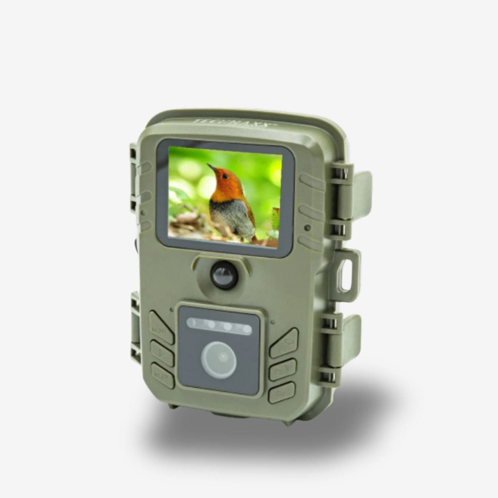 cabane a oiseaux camera