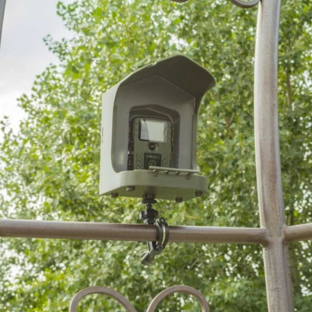 cabane a oiseaux camera