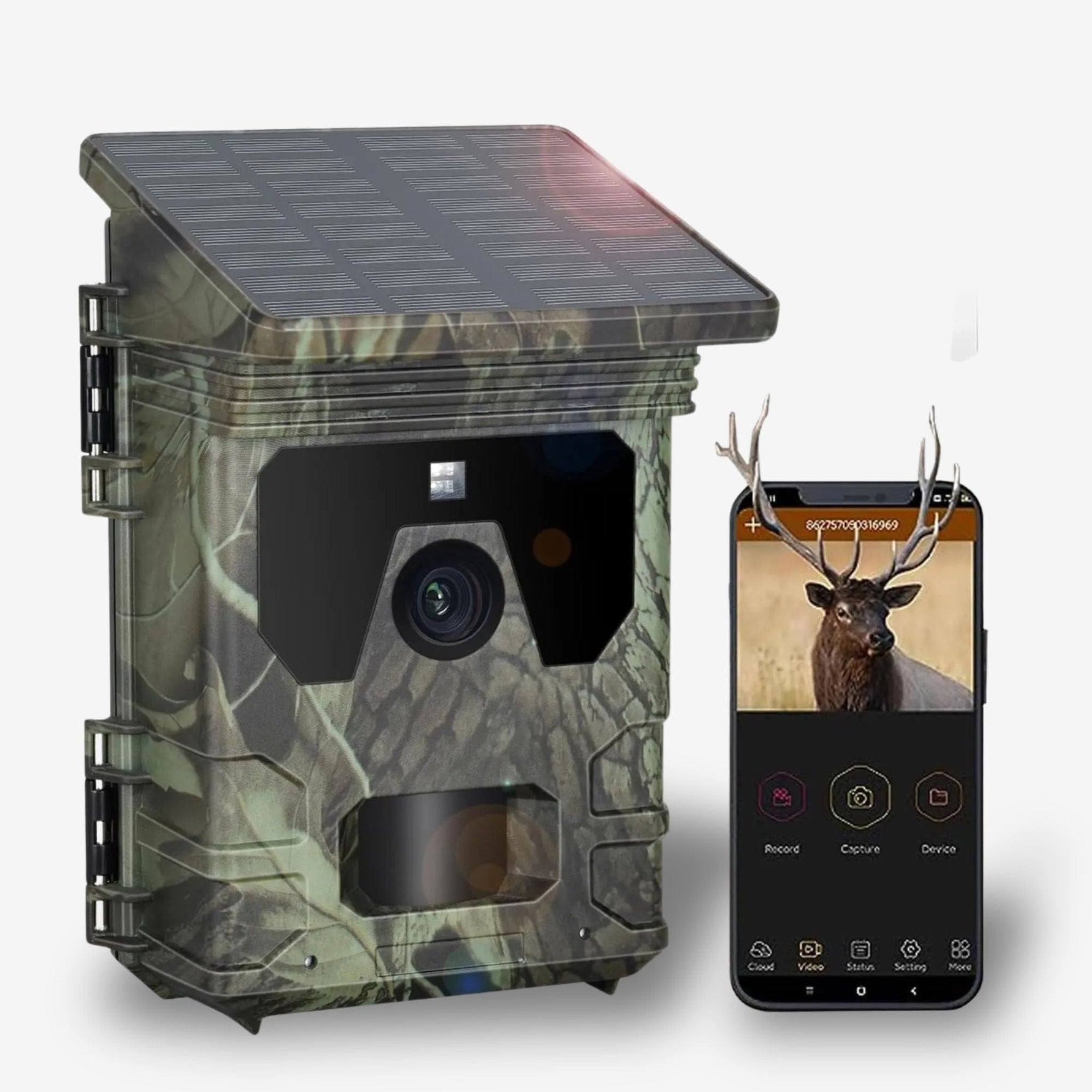 camera infrarouge chasse