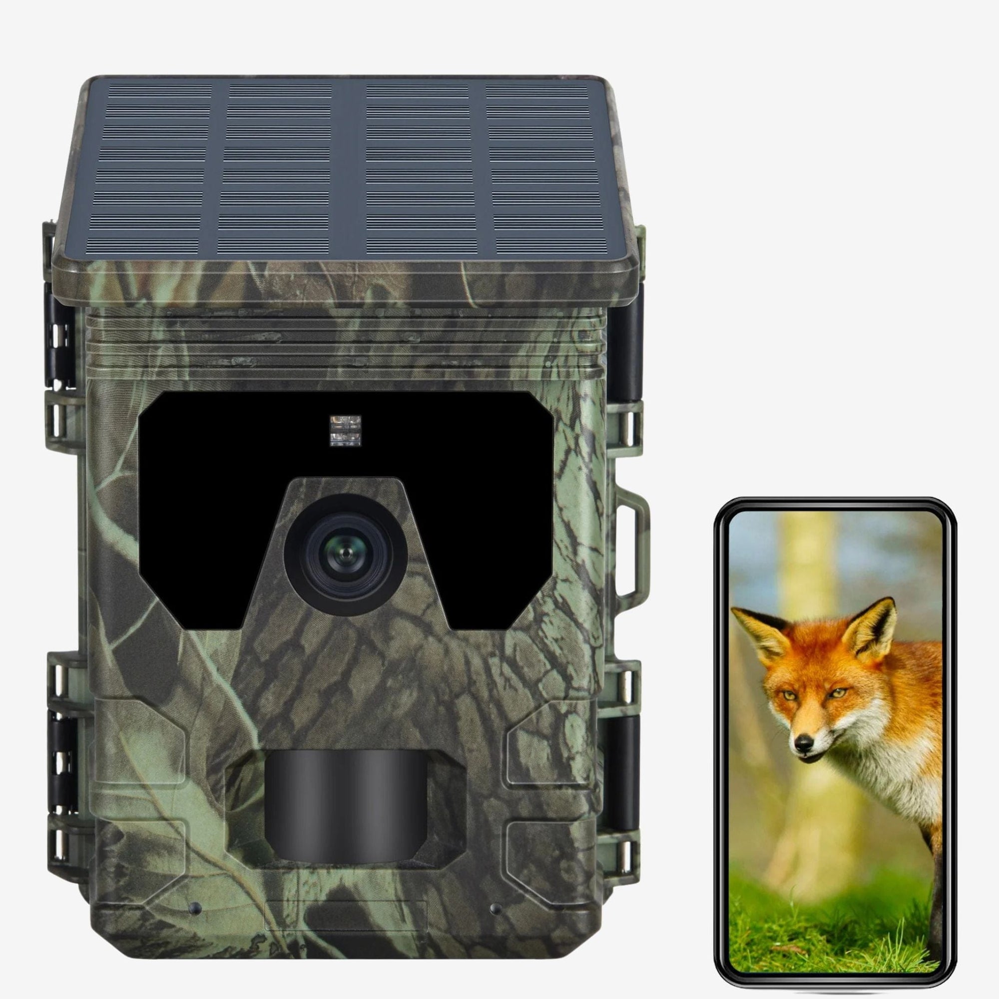 trail camera
