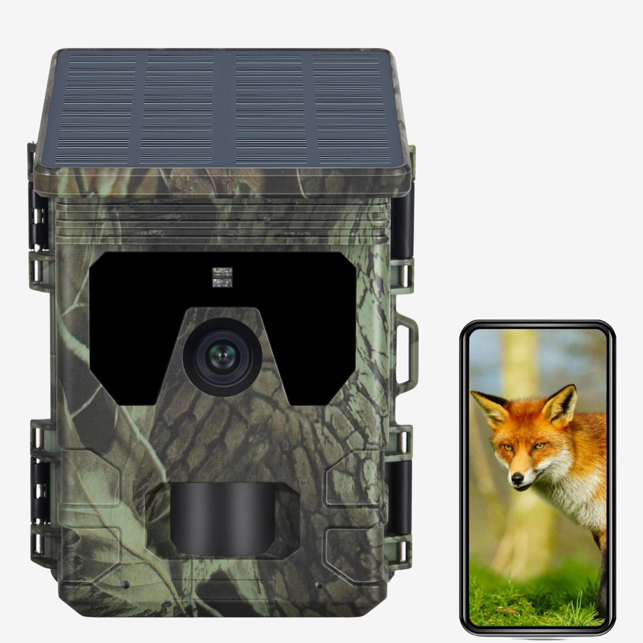 trail camera